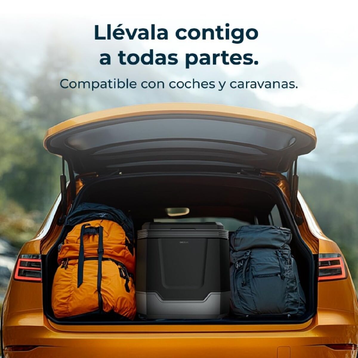 V3HF2325315119B276B620056A39799345BR5179661P5